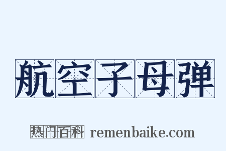 航空子母弹是什么意思的图片